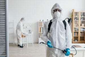 Pest Control for Bella Vista Businesses: Keeping Your Workplace Pest-Free